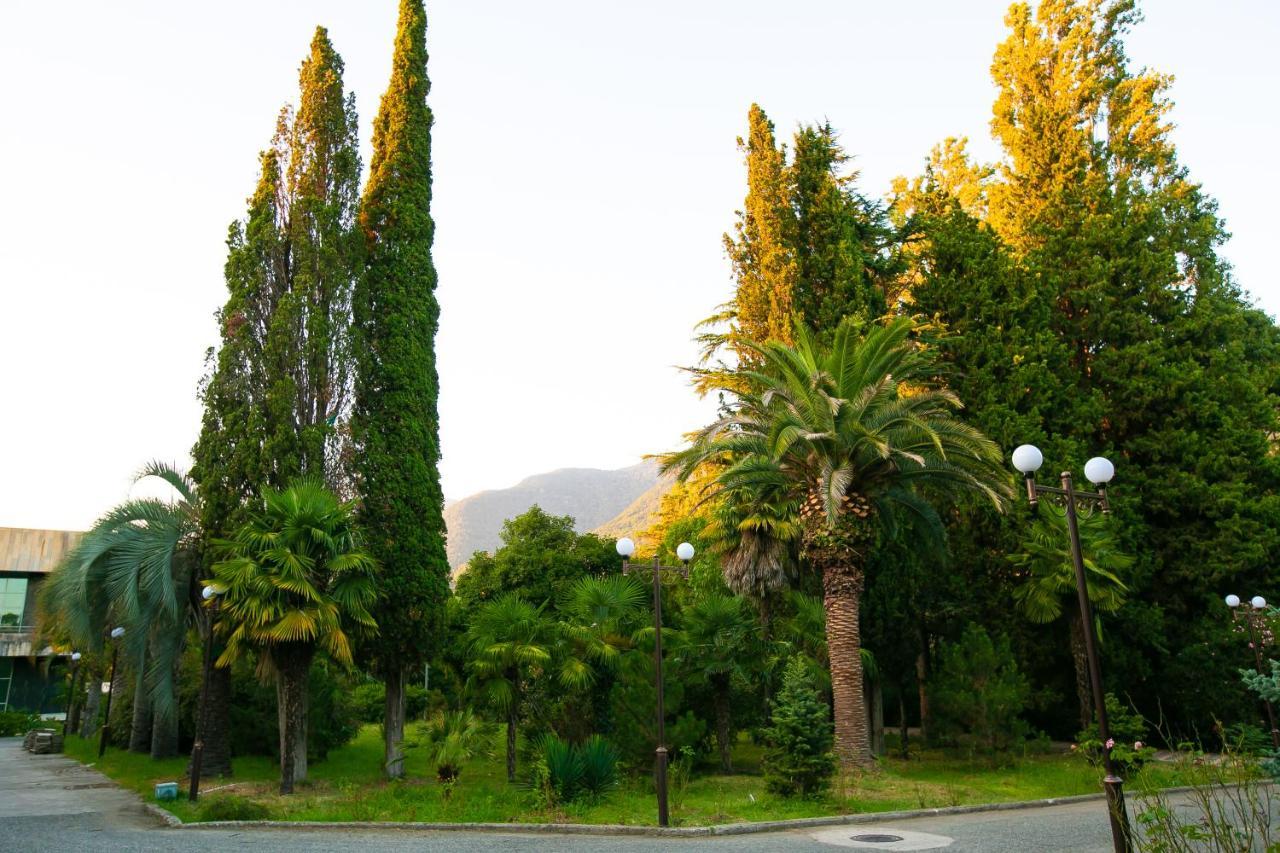 Amza Park Hotel Gagra Exteriör bild